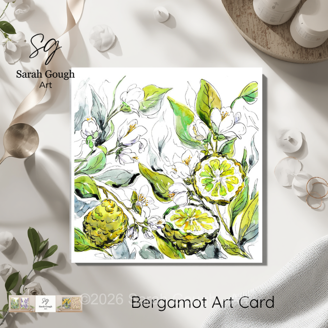 Bergamot Fruit and Flowers | Botanical Illustration | Floral Art Card | with Envelope