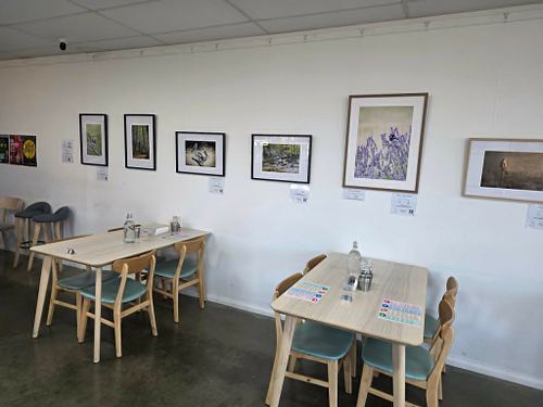 Prints now showing at Milestone Cafe!