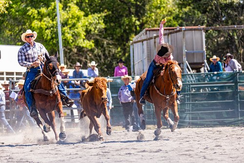 Rodeos