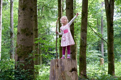 DINA IM PLEERWALD
