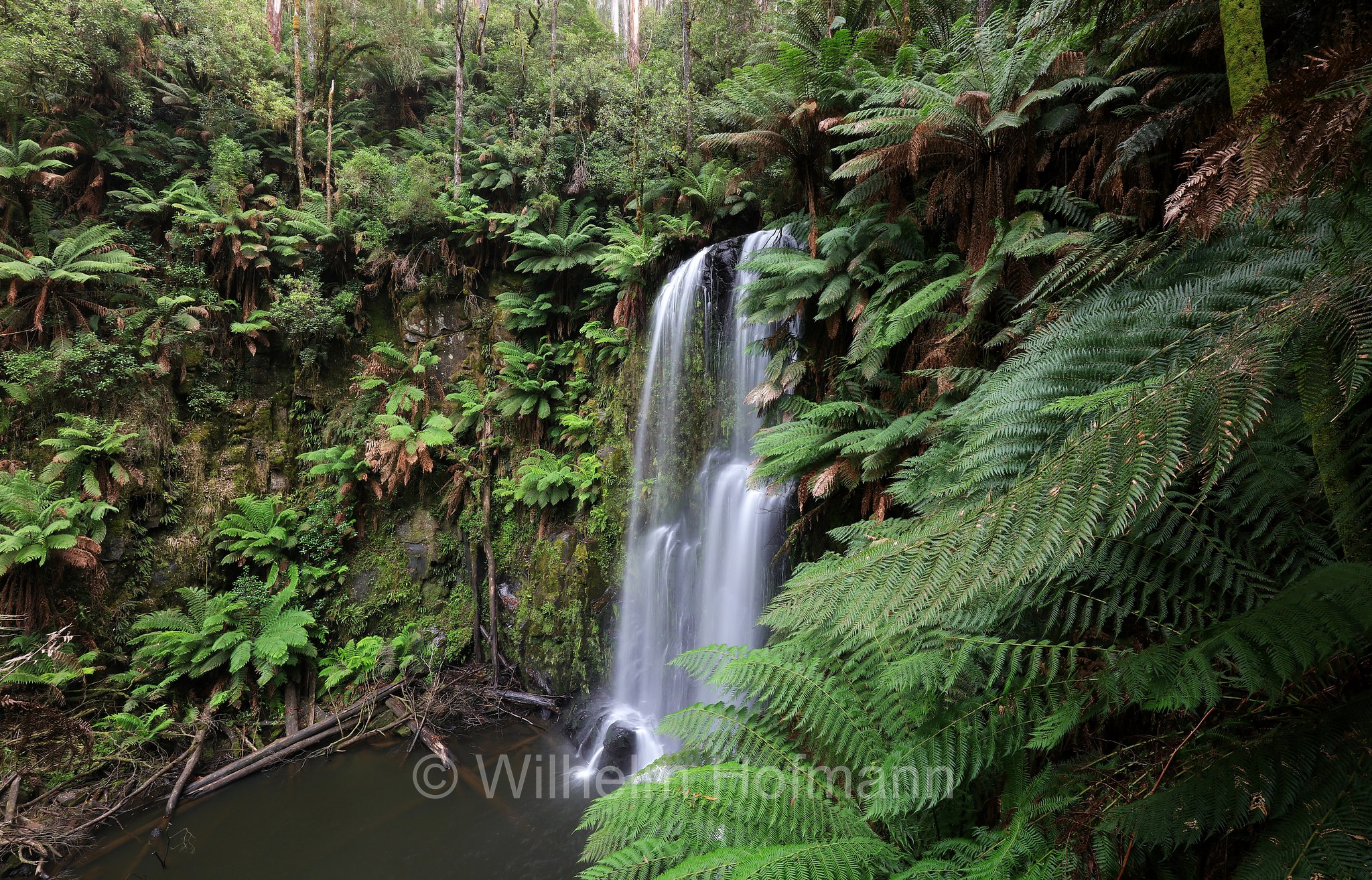 Beauchamp Falls, Great Otway National Park, Great-Otway-Nationalpark, parco nazionale Great Otway, Victoria, Australia, Australien