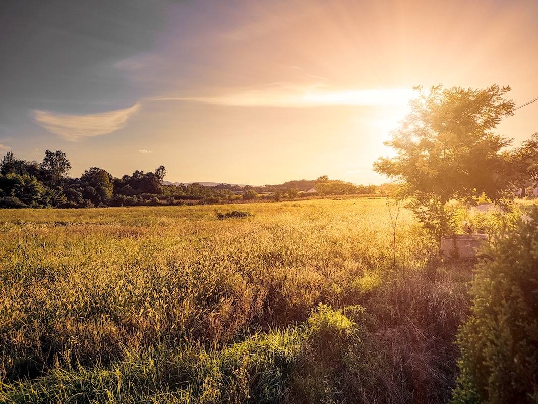 Sonnenuntergang über einem Feld in der Posavina entlang der Save in Bosnien und Herzegowina – stimmungsvolle Landschaftsaufnahme.