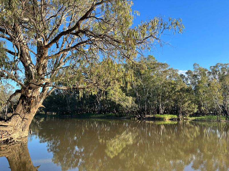 The Edwards River, Deniliquin