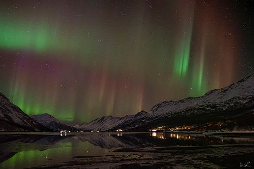 Aurora Lightshow