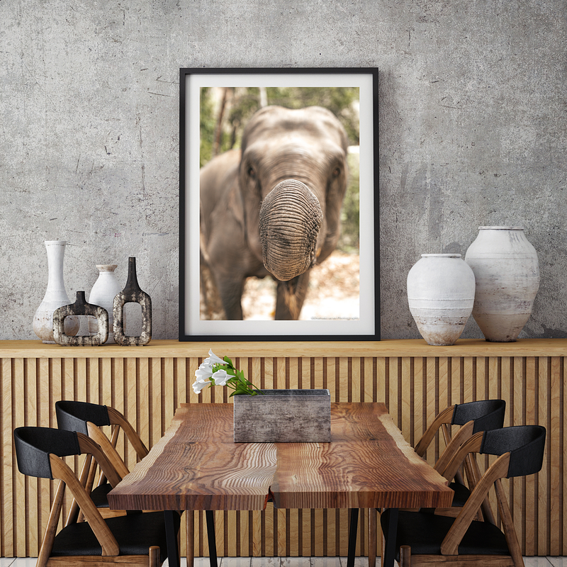 COLLECTION - GIANTS OF THE LAND VERTICAL -  "Trunk On" - LIMITED EDITION 10 of 10