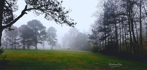 Landscapes