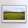 COLLECTION - FROM ABOVE HORIZONTAL - "Straight to the Horizon" - LIMITED EDITION 10 of 10
