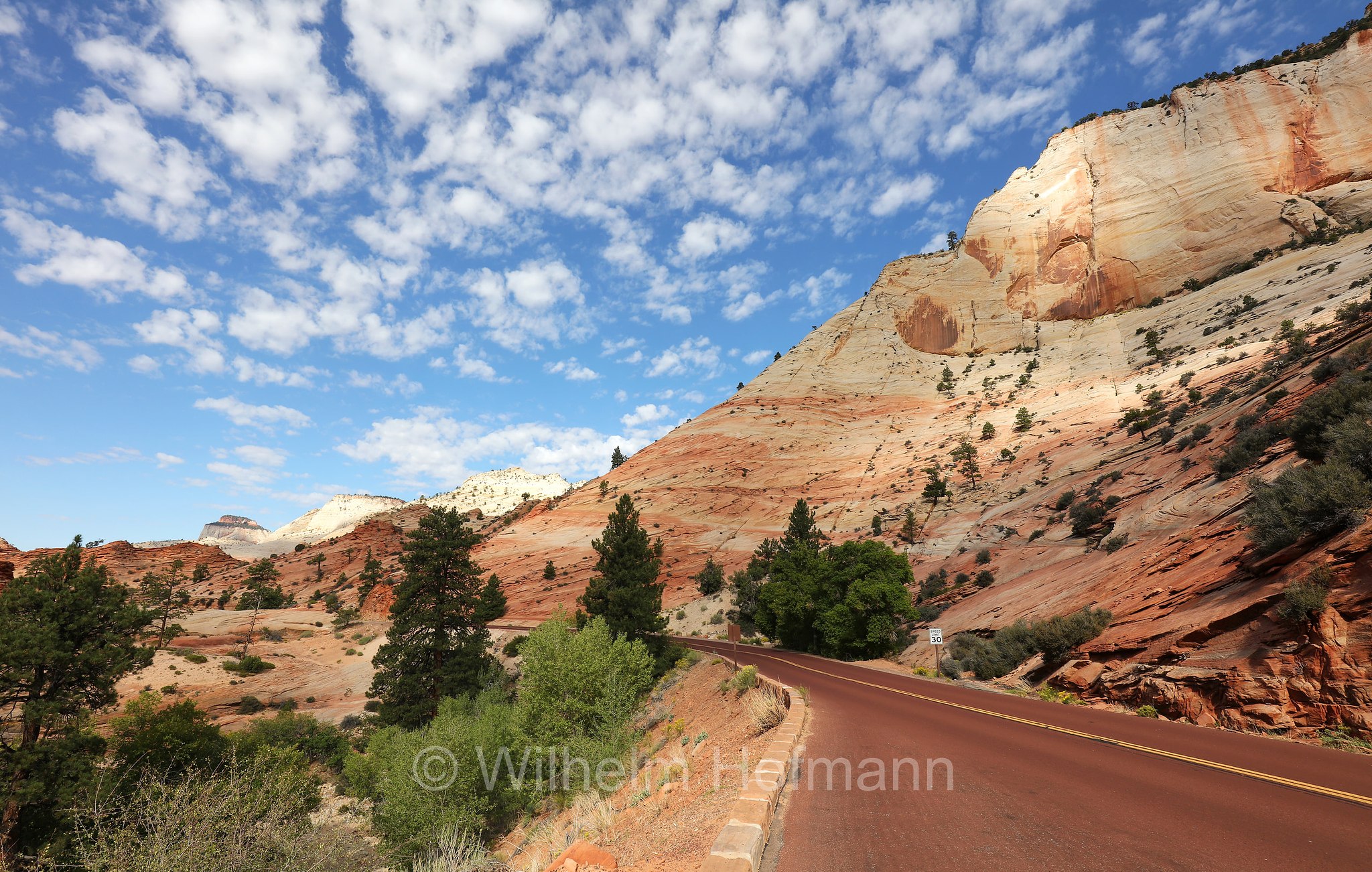 Mount Carmel Highway, Zion National Park, Zion-Nationalpark, Parco nazionale di Zion, Utah, USA