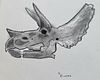 Triceratops