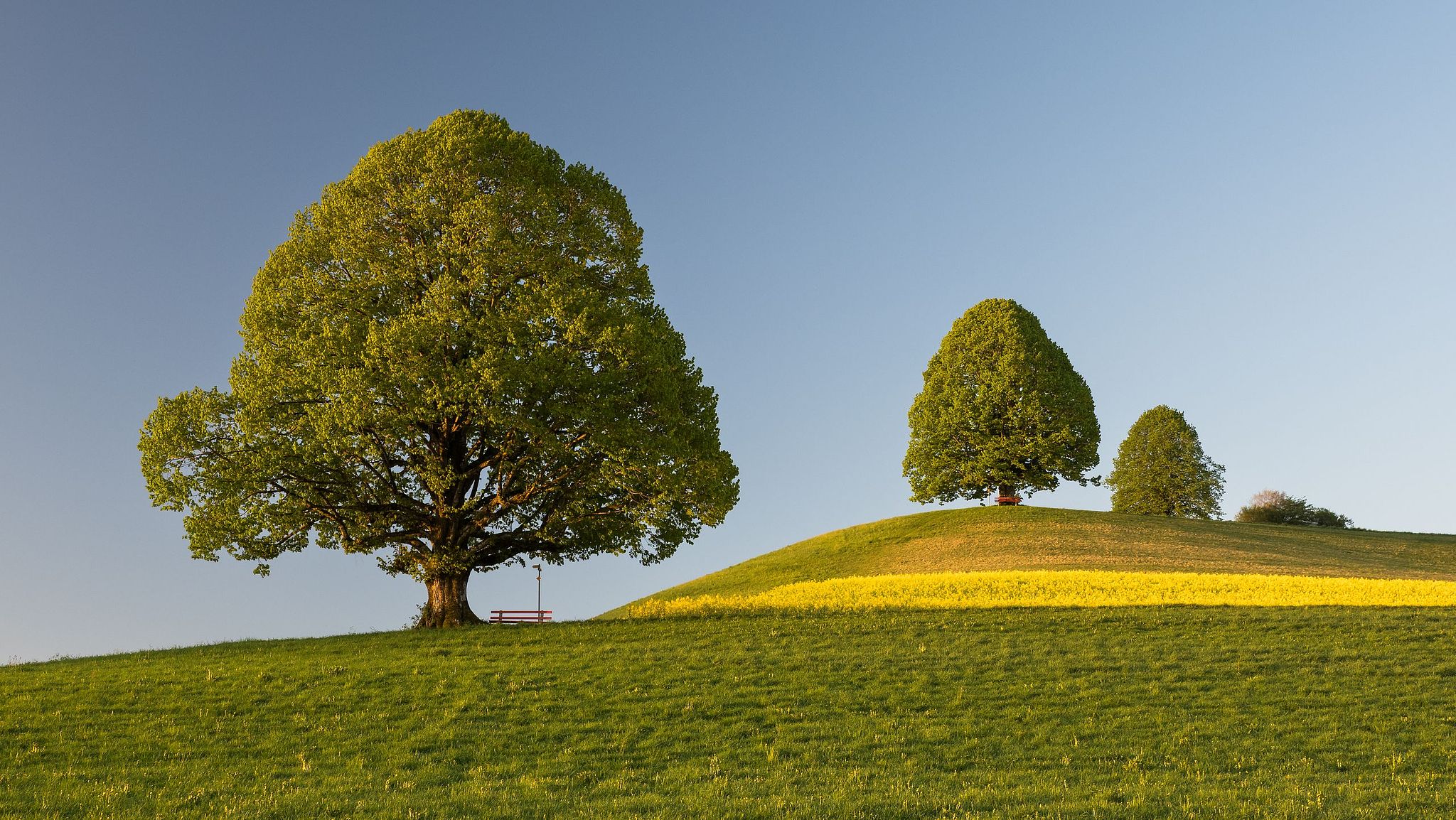 Zu den drei Linden