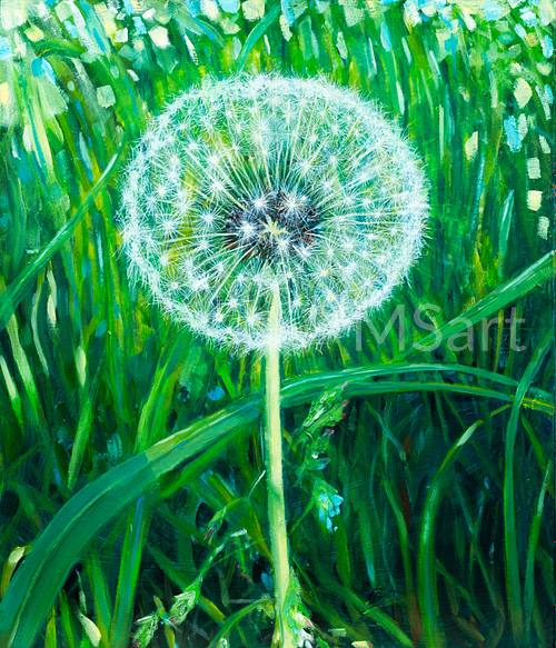 A study of a weed, a dandelion, a miracle of nature