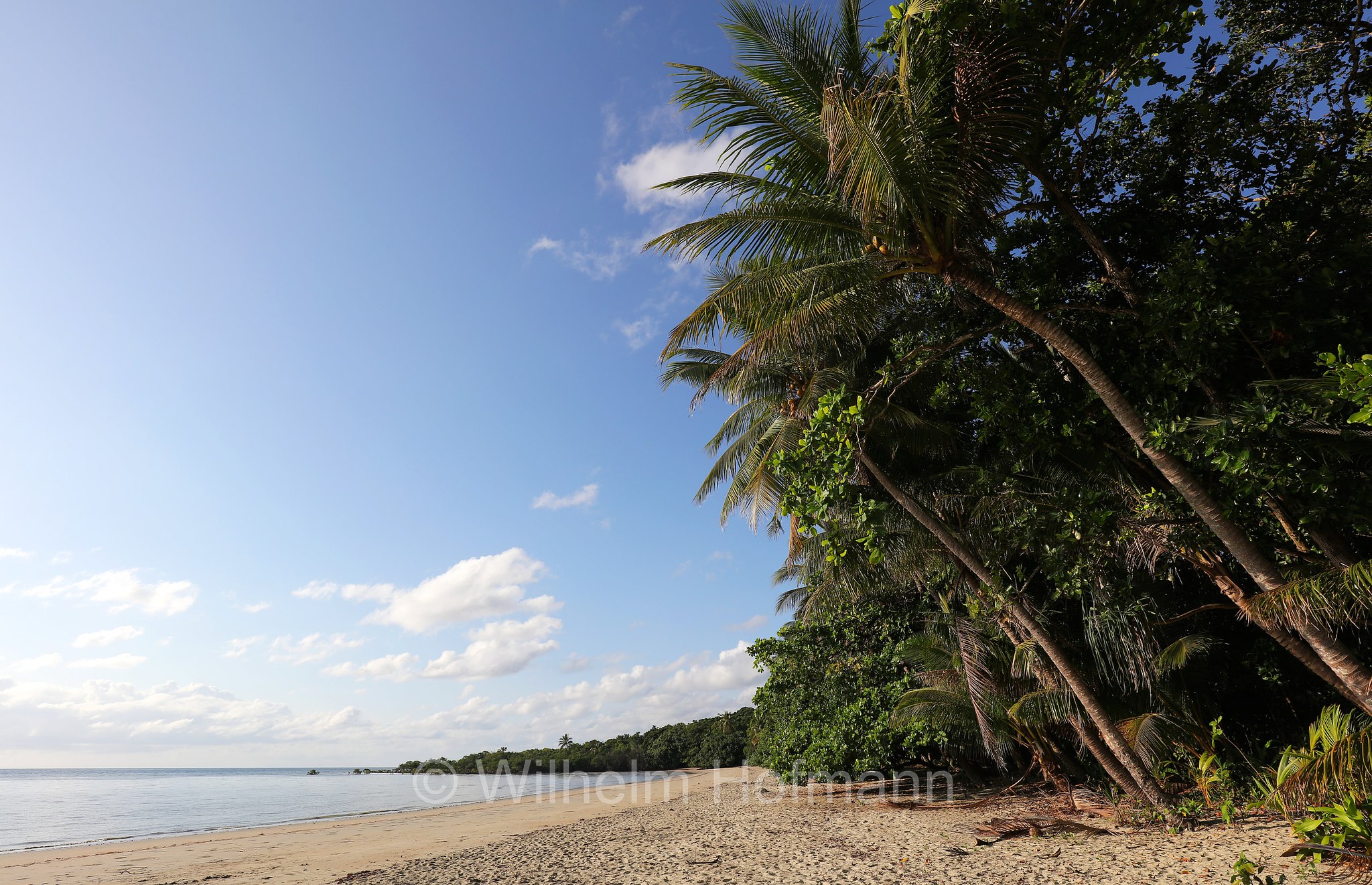 Cape Tribulation, Daintree National Park, Daintree-Nationalpark, Parco nazionale Daintree, Queensland, Australia, Australien
