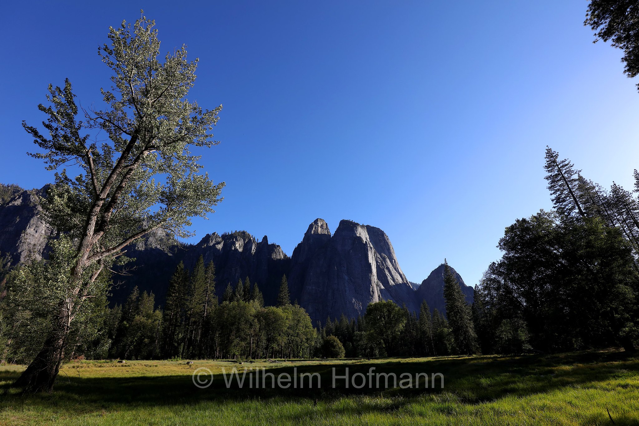 Cathedral Rocks, Yosemite Valley, Yosemite National Park, Yosemite-Nationalpark, Parco nazionale di Yosemite, Kalifornien, California, USA