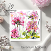 Pink Geranium | Botanical Art Card | Watercolour Original Illustration | Square | with Envelope