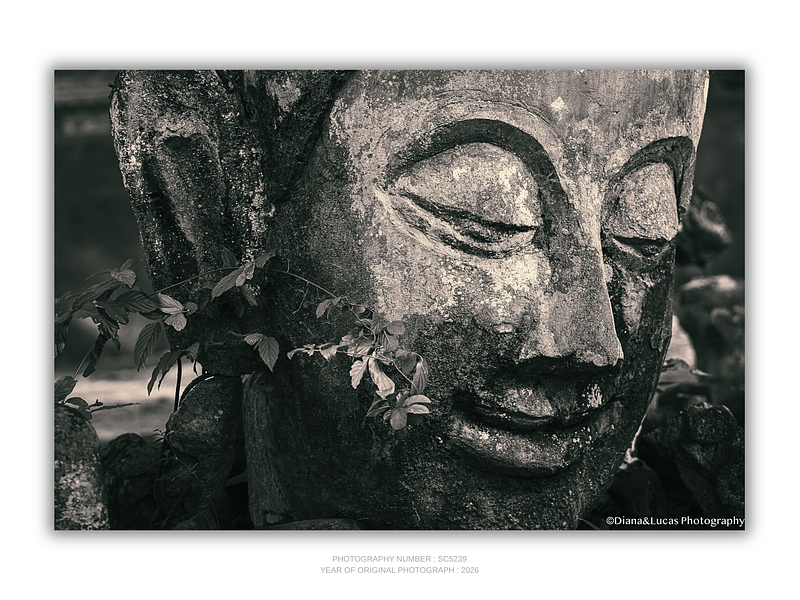 THE ONE - QUIET ICONS - "Concrete Face" - LIMITED EDITION 5 of 5