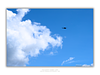 COLLECTION - FROM ABOVE HORIZONTAL - "One in the Blue" - LIMITED EDITION 10 of 10