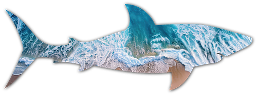 Ocean Waves
