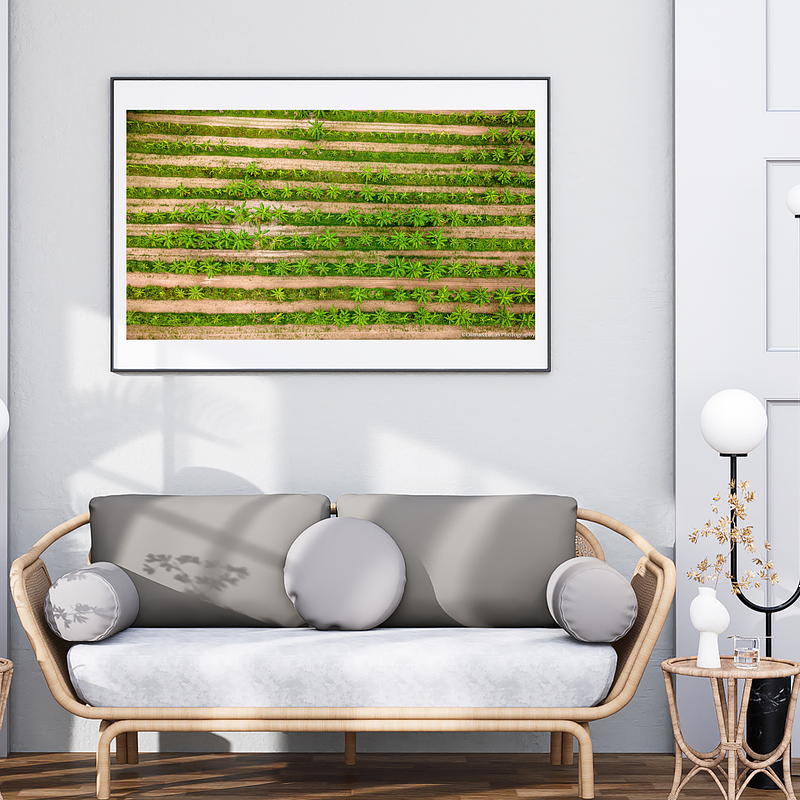 THE ONE - AERIAL PRINTS - "Grown More" - LIMITED EDITION 5 of 5