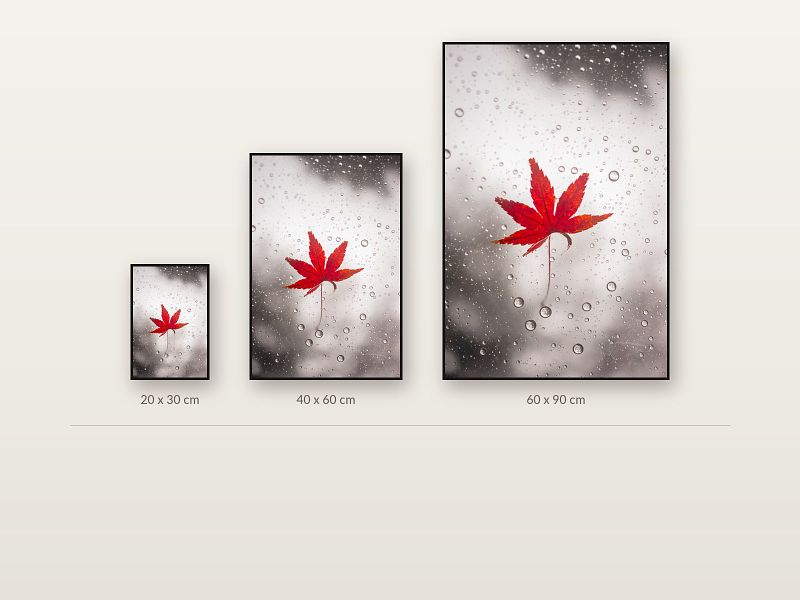 La feuille d'érable sous la pluie
