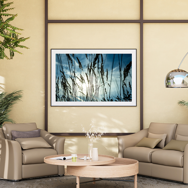 THE ONE - WILDLIFE & NATURE - "Field Level" - LIMITED EDITION 4 of 5