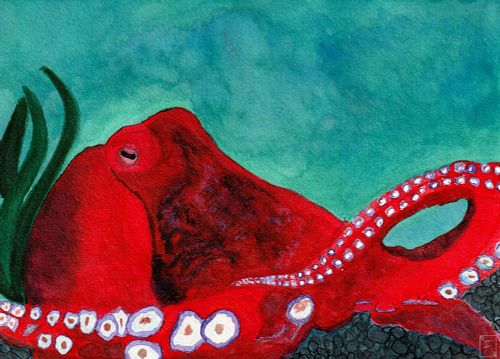 Red Octopus