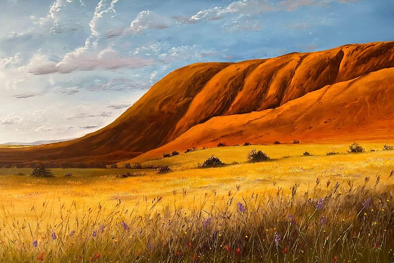 Wildflowers of Outback
