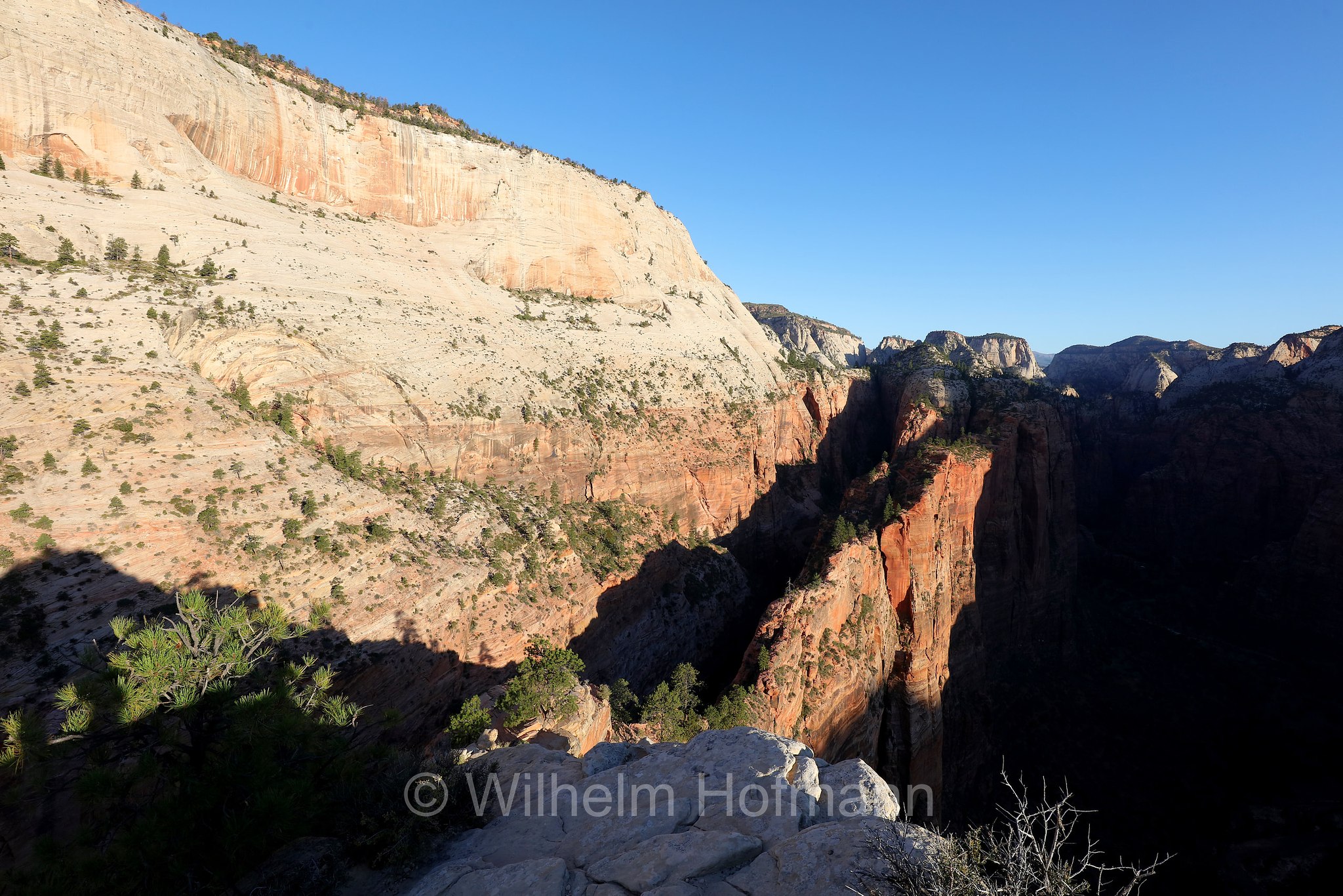 Top of Angel's Landing, Zion National Park, Zion-Nationalpark, Parco nazionale di Zion, Utah, USA