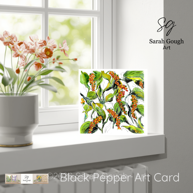 Black Pepper | Botanical Art Card | Watercolour Original Illustration | with Envelope