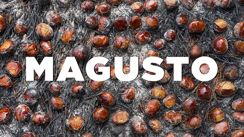 Magusto (Or, Land, This Land pt3)
