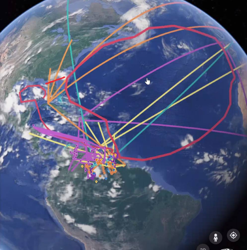 global environmental network venezuela amazon diplomacy mapping