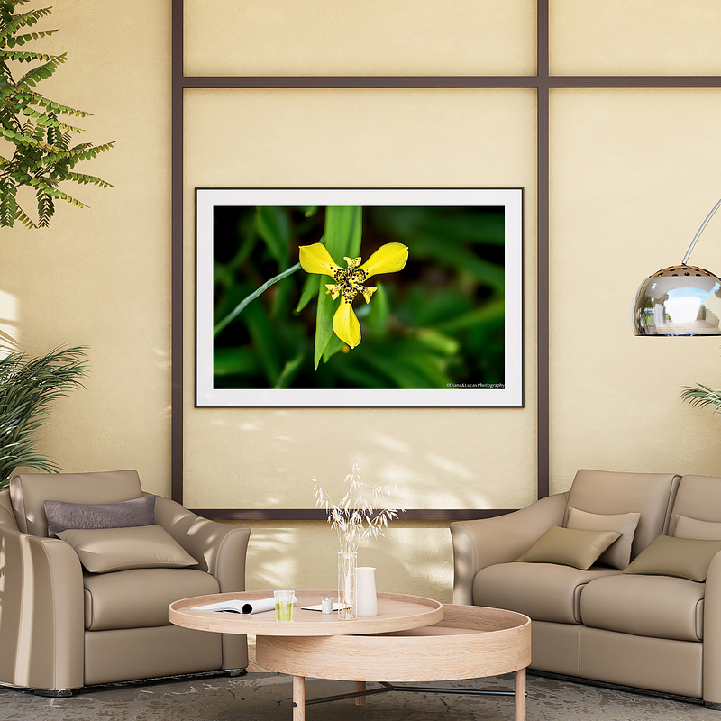 THE ONE - WILDLIFE & NATURE - "The Yellow" - LIMITED EDITION 3 of 5