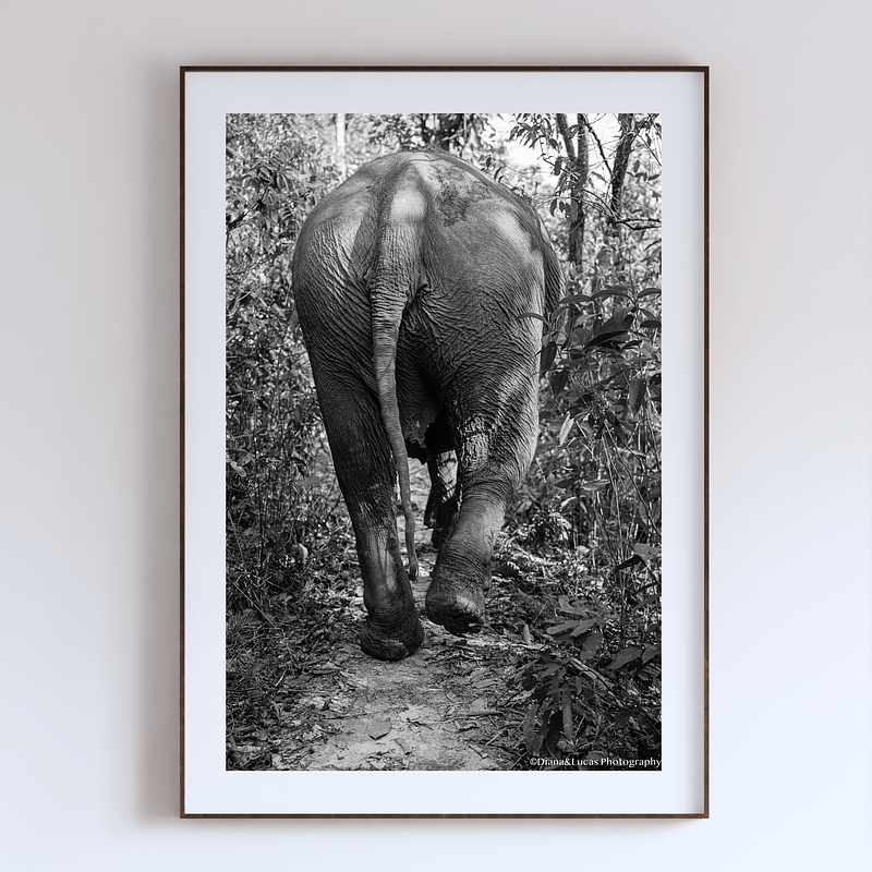 COLLECTION - GIANTS OF THE LAND VERTICAL - "The Back End" - LIMITED EDITION 10 of 10