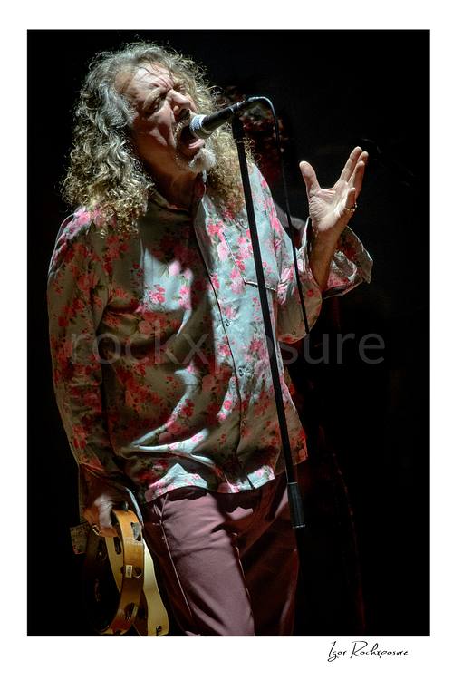 Vertical concert photography of Robert Plant singing into a microphone with expressive hand gesture under warm stage lighting during a live performance