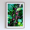 THE ONE - WILDLIFE & NATURE - "Deep Burgundy" - LIMITED EDITION 5 of 5