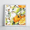 Orange Blossom & Citrus Fruit | Botanical Art Print