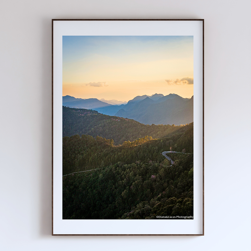 COLLECTION - FROM ABOVE VERTICAL - "The Long Way Down" - LIMITED EDITION 10 of 10