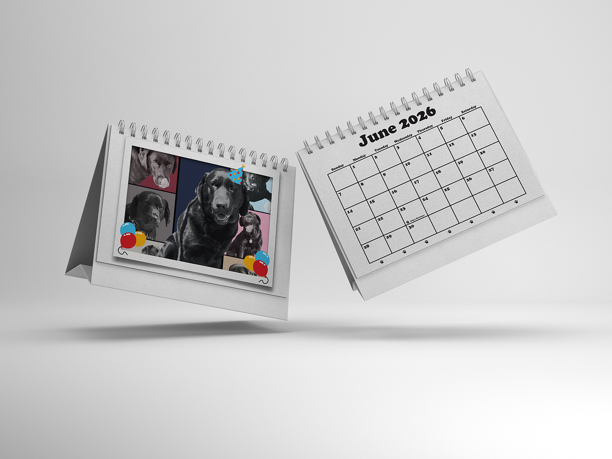 Chip the Dog Calendar both month and picture on white background