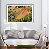 THE ONE - AERIAL PRINTS - "Stiched Earth" - LIMITED EDITION 5 of 5