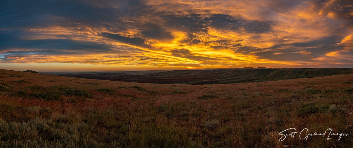 Home on the Range