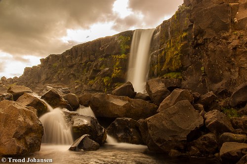 Trond Johansen Foto Natur Sarpsborg - Fotograf / Film
