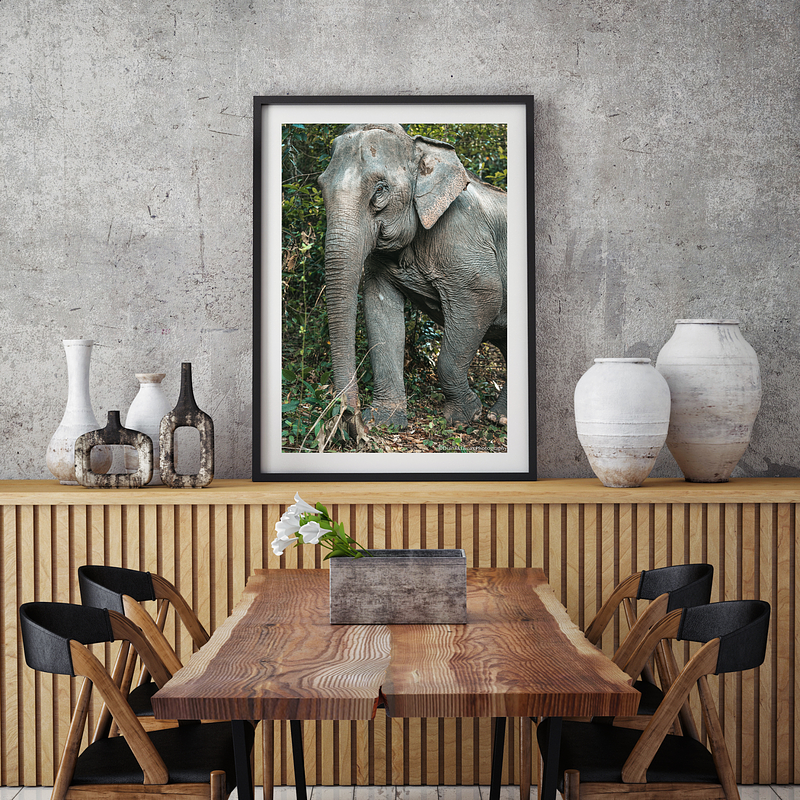 COLLECTION - GIANTS OF THE LAND VERTICAL - "Eye Contact" - LIMITED EDITION 10 of 10
