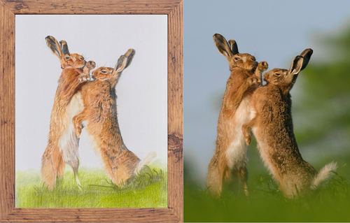 Hello, we are Edward and Mandy one takes nature photos and one does pencil drawing.