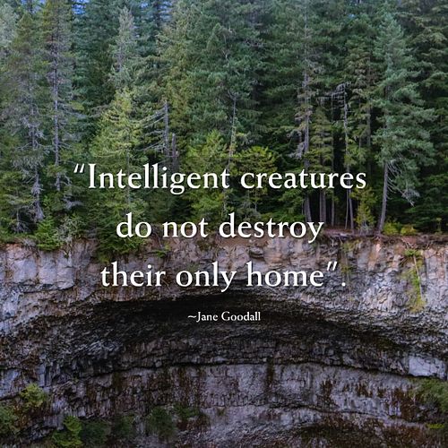 Intelligent creatures do not destroy their only home - 1