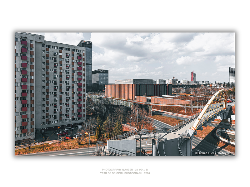 COLLECTION - FROM ABOVE HORIZONTAL - "The City Moves On" - LIMITED EDITION 10 of 10