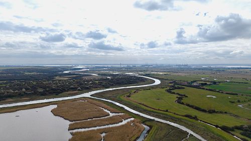 Having the marsh on our doorstep makes us realise how lucky we are.