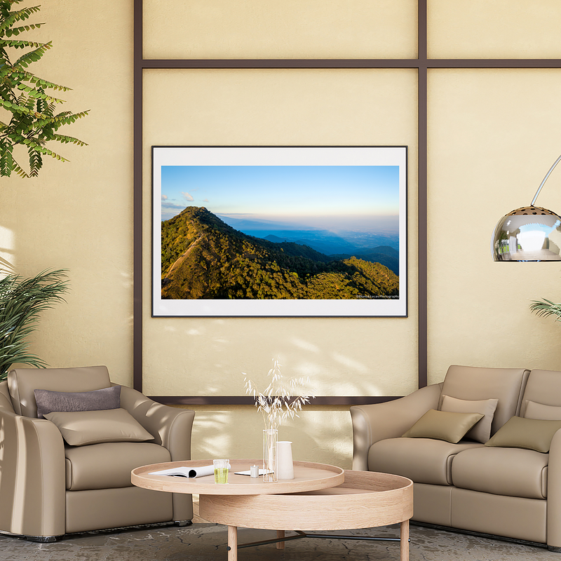 THE ONE - WILDLIFE & NATURE - "The Long View" - LIMITED EDITION 3 of 5