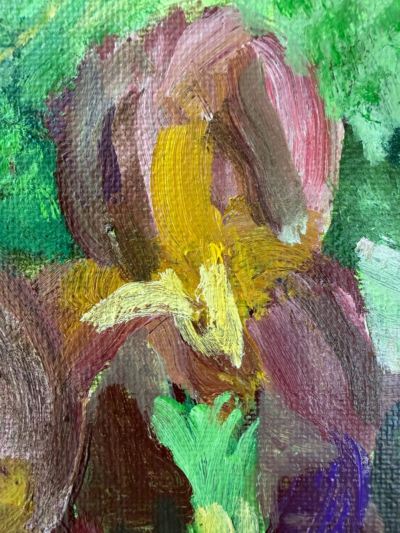 Iris