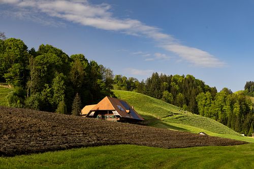 Das Hofhüsli