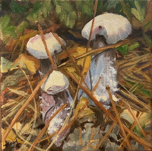 Forest Floor