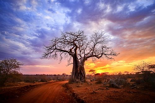 Natur und Landschaft